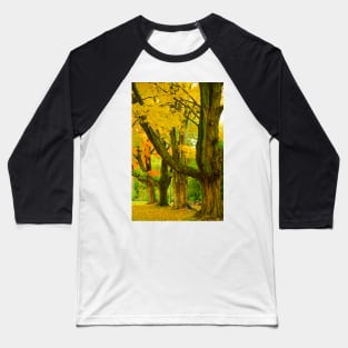 Pioneer Park Trees, Bayfield Baseball T-Shirt